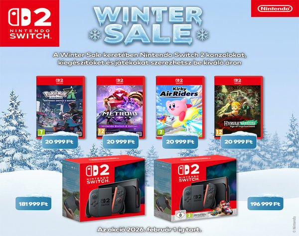 SWITCH 2 WInter Sale