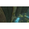 The Legend of Zelda: Tears of the Kingdom (Switch)
