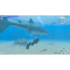 Endless Ocean Luminous (Switch)
