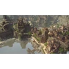Spellforce III