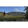 Kingdom Come Deliverance (Xbox One)