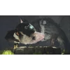 The Last Guardian