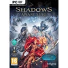 Shadows Awakening (PC)