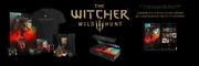 WITCHER 3 10th