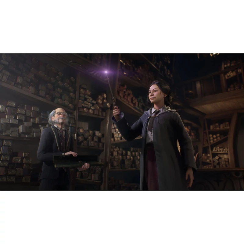 Hogwarts Legacy (PS4)