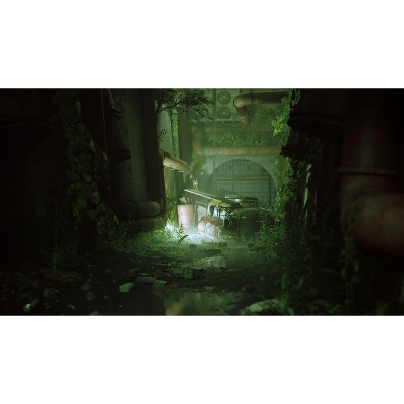 Stray (PS5)