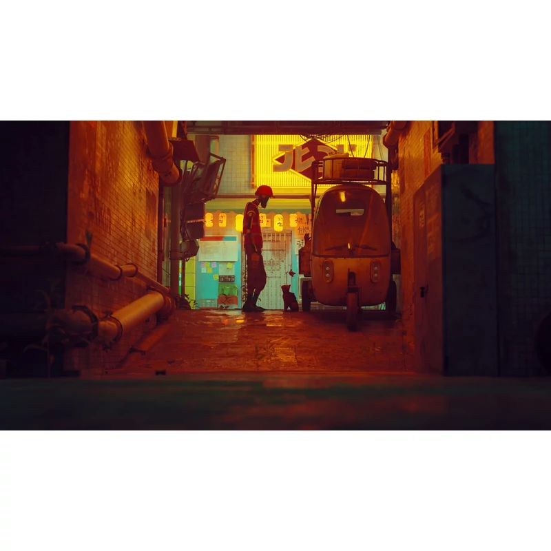 Stray (PS4)