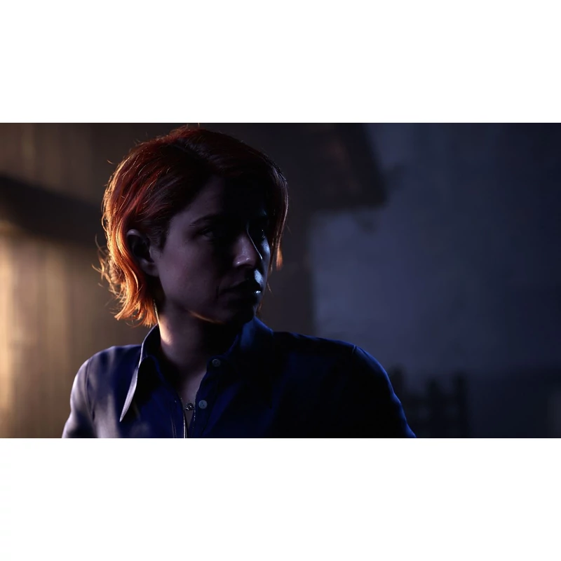The Dark Pictures Anthology: The Devil In Me (PS4)