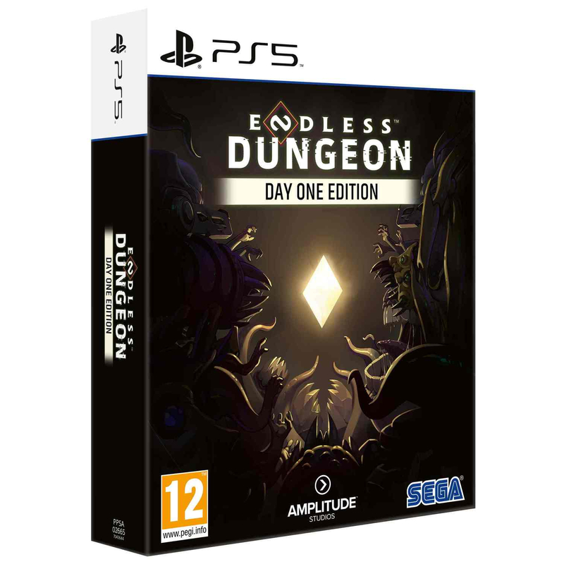 Endless Dungeon (PS5)