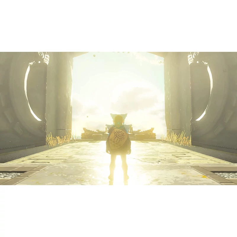The Legend of Zelda: Tears of the Kingdom (Switch)