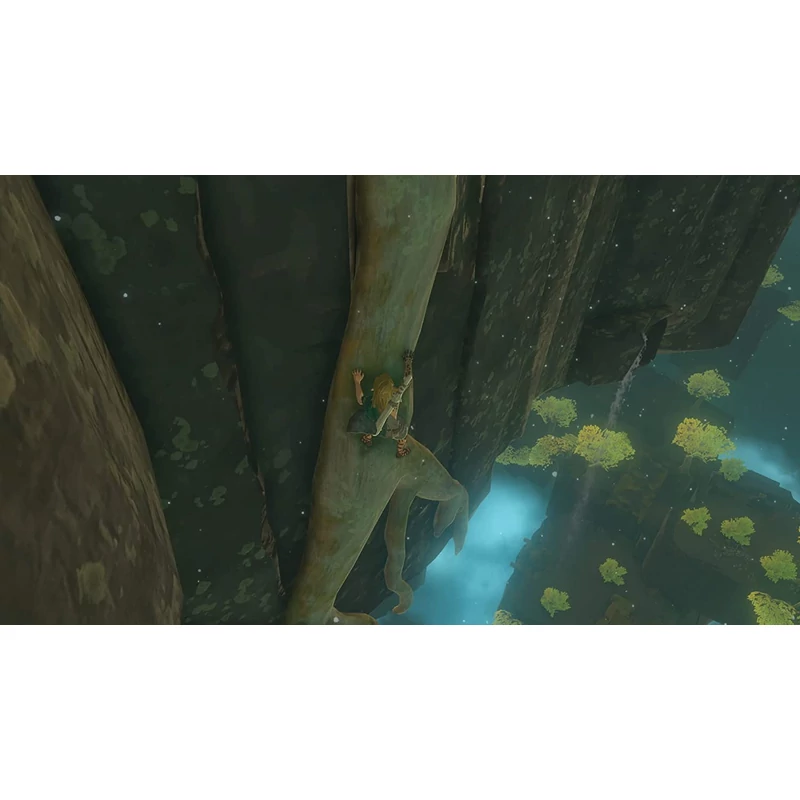 The Legend of Zelda: Tears of the Kingdom (Switch)