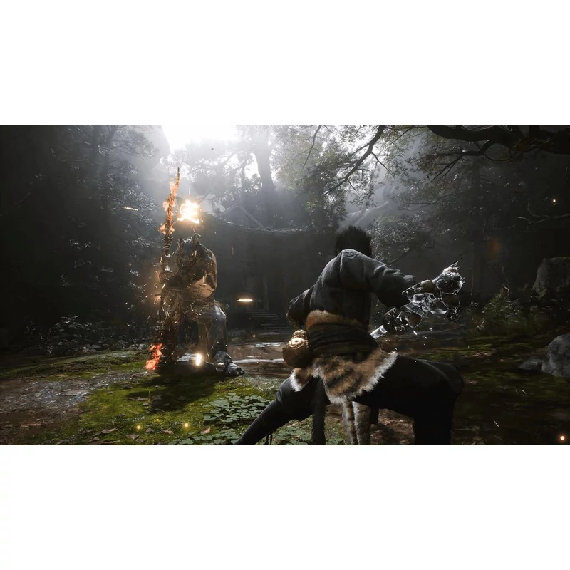 Black Myth Wukong (PS5)