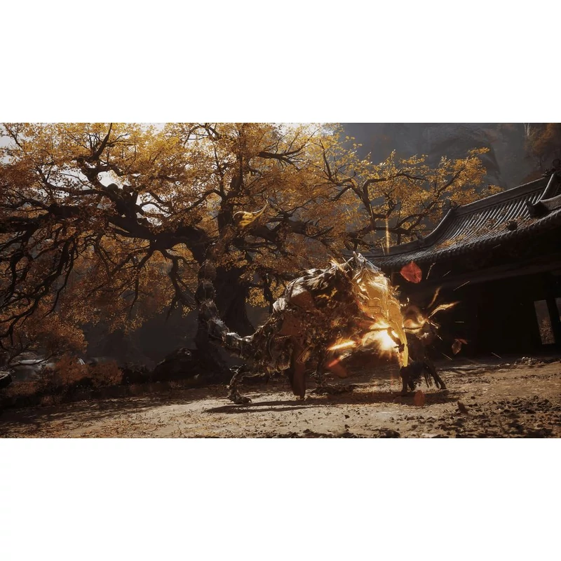 Black Myth Wukong (PS5)