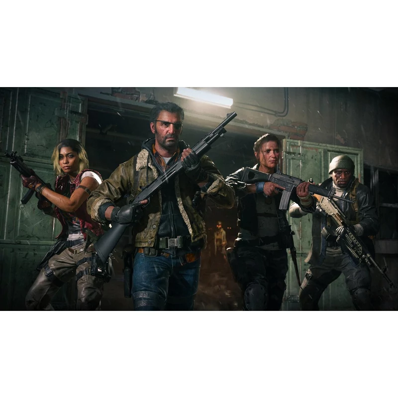 Call of Duty Black Ops 6 (PS4)