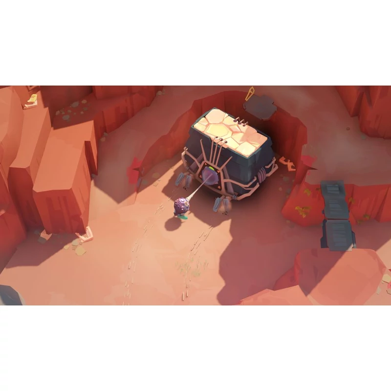 Cocoon (Switch)