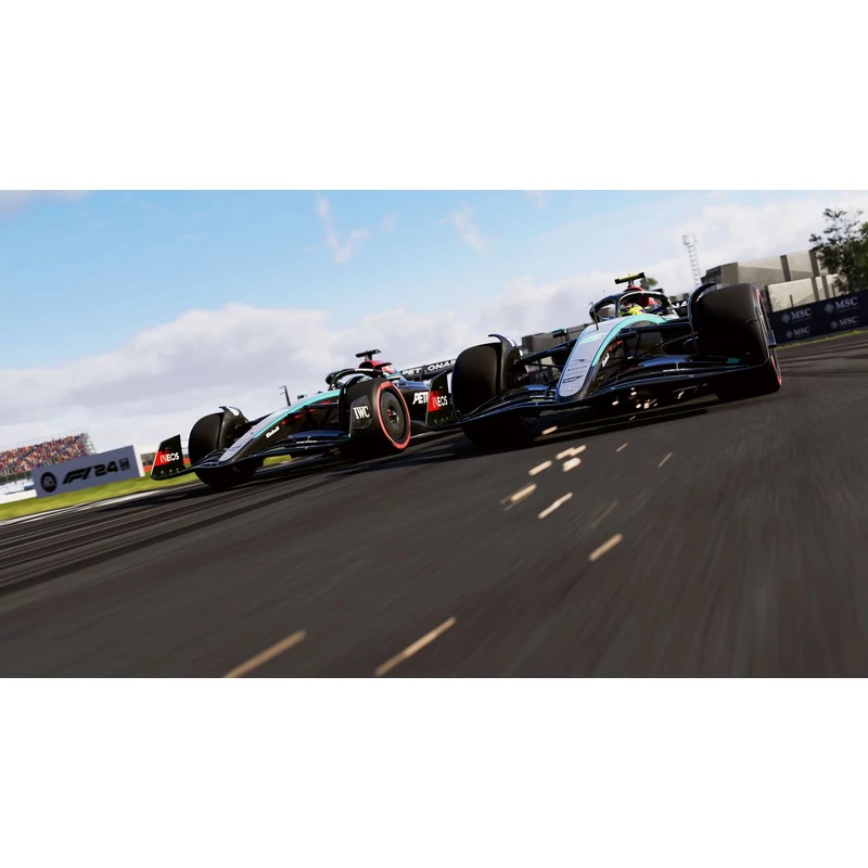 F1 24 (PS4)