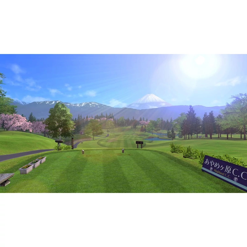 Everybody's Golf Hot Shots 2 (Switch)