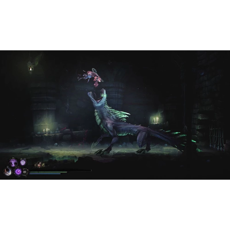 Mandragora Whispers of the Witch Tree Collector's Edition (Switch)