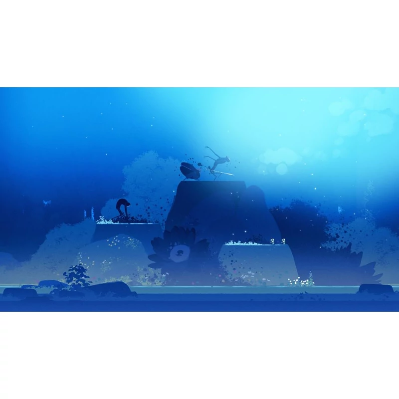 Neva (Switch)