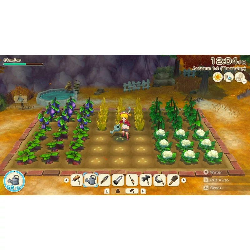 Story of Seasons: Grand Bazaar (Switch)