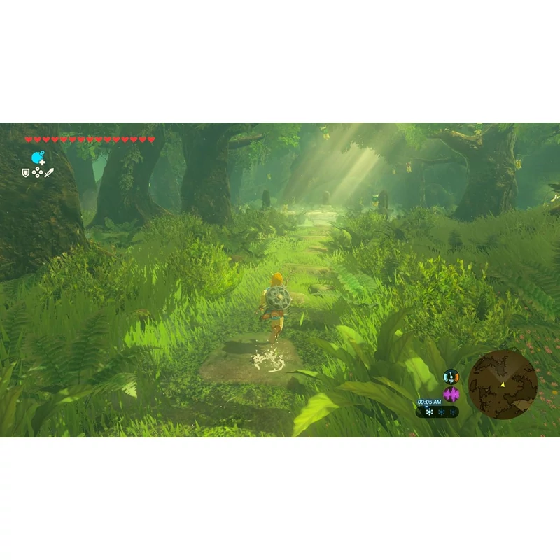 The Legend of Zelda: Breath of the Wild (Switch 2)