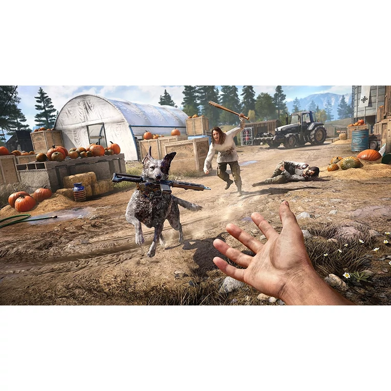 Far Cry 5 (PS4) + előrendelői DLC