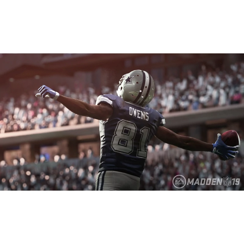 Madden NFL 19 (PS4)