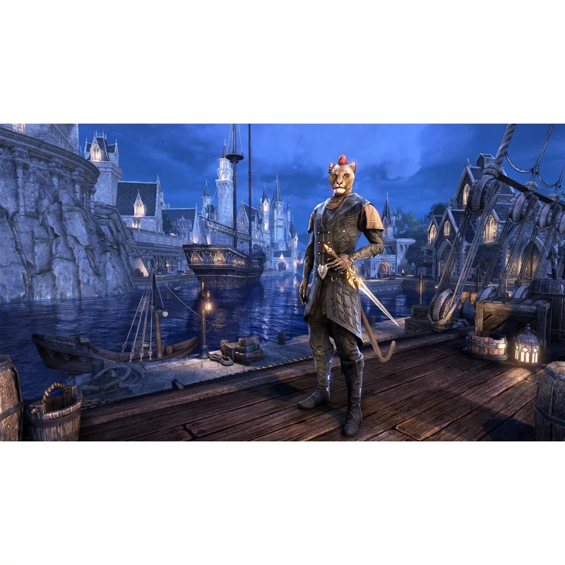 The Elder Scrolls Online: Summerset (PS4)