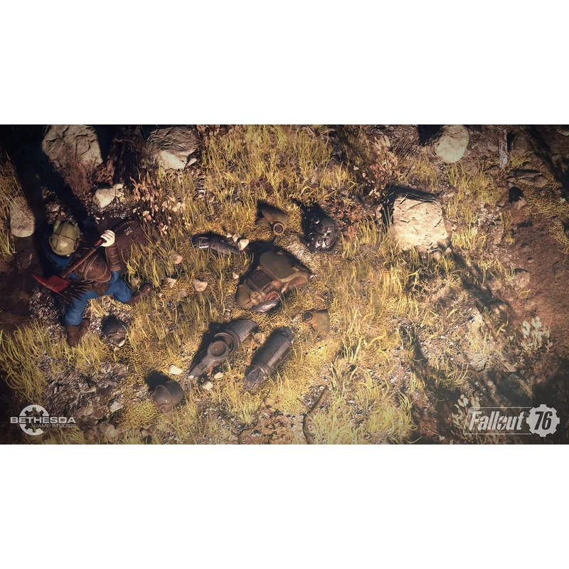 Fallout 76 (PS4)