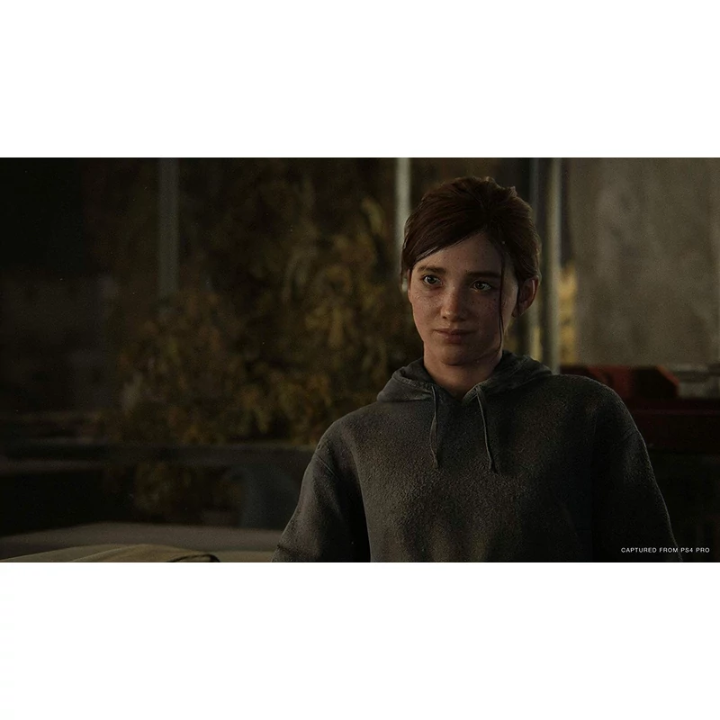 The Last of US Part II Special Edition (PS4)