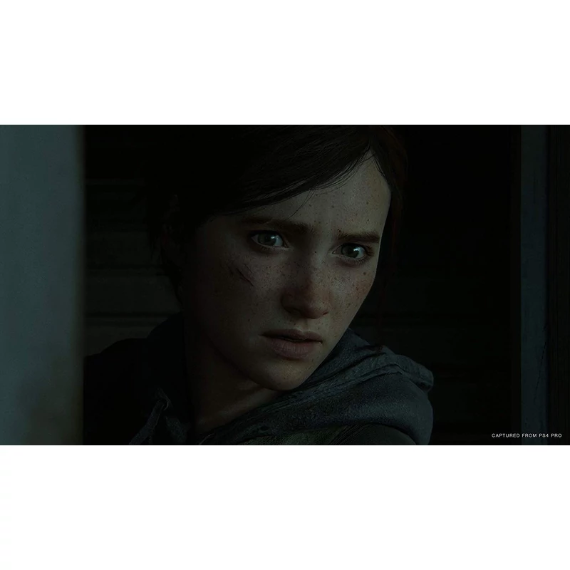 The Last of US Part II Special Edition (PS4)