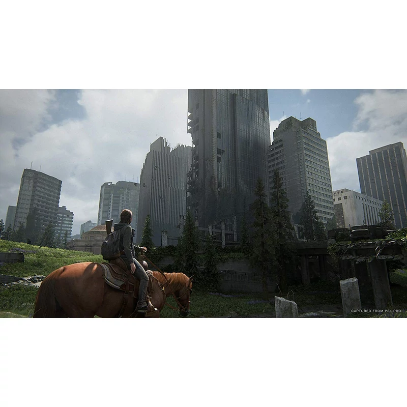 The Last of US Part II Special Edition (PS4)