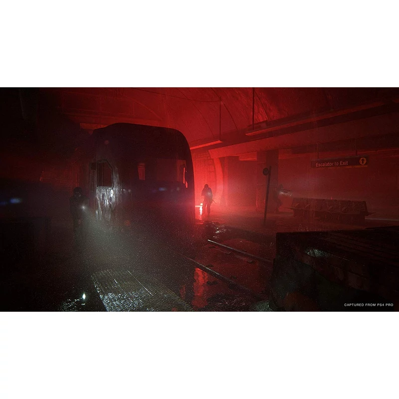 The Last of US Part II Special Edition (PS4)
