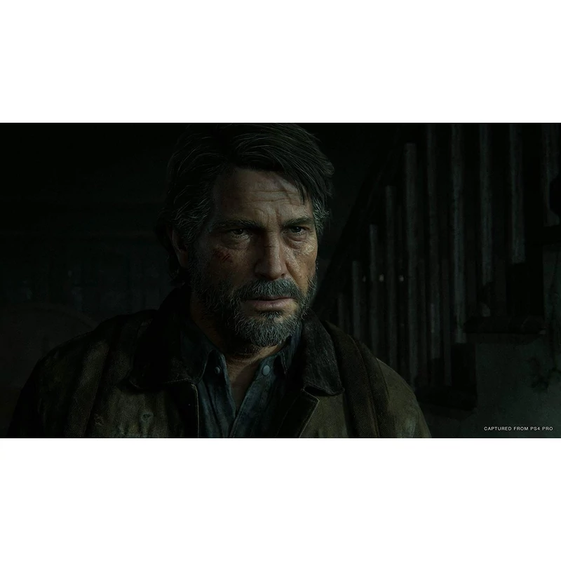 The Last of US Part II Special Edition (PS4)
