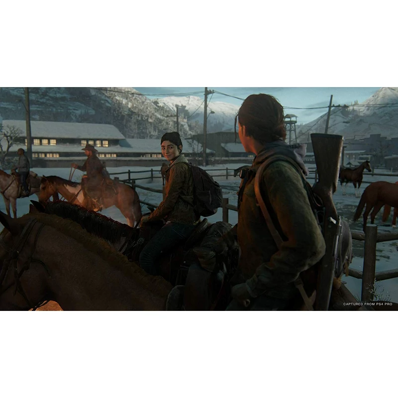 The Last of US Part II Special Edition (PS4)