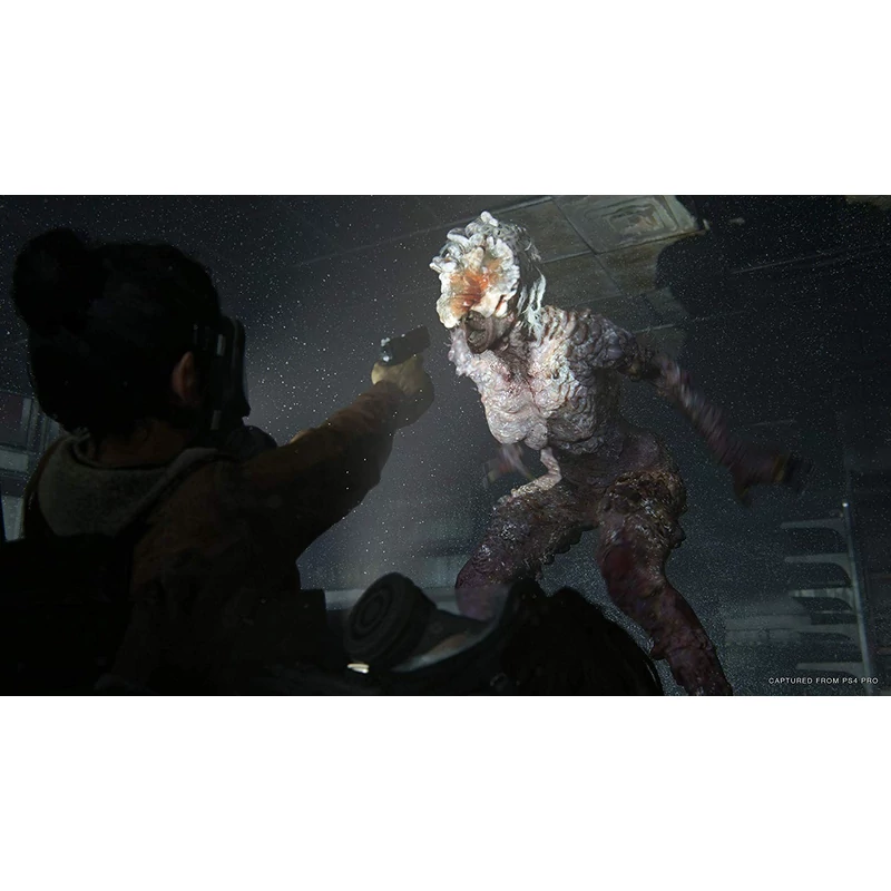 The Last of US Part II Special Edition (PS4)