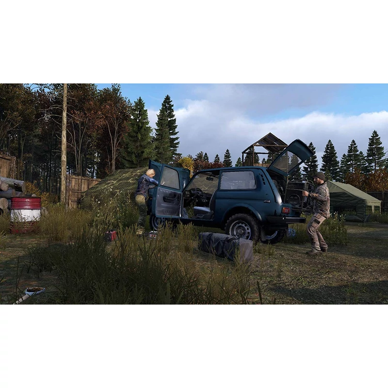 DayZ (PS4)