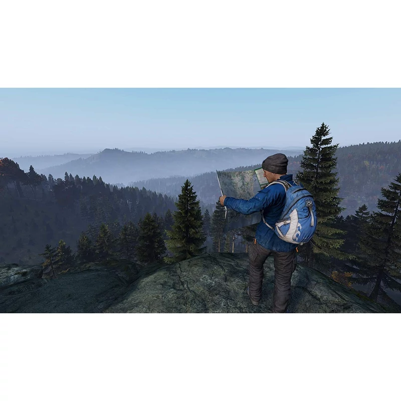 DayZ (PS4)