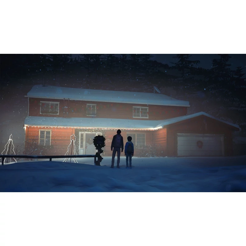 Life is Strange 2 (PC)