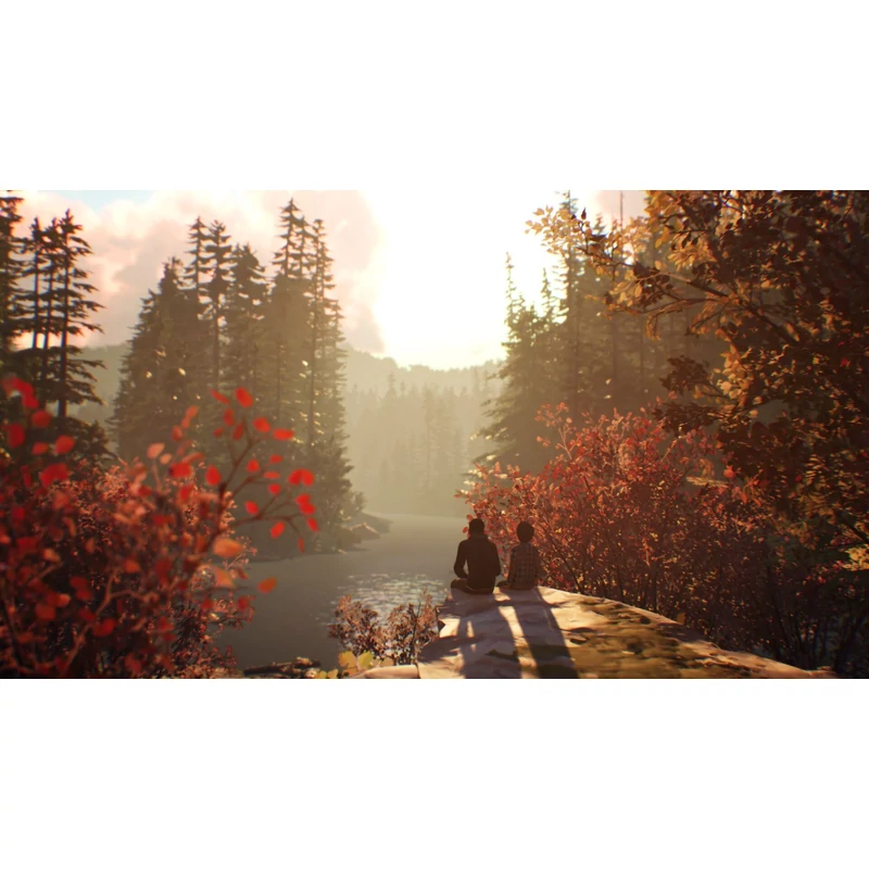 Life is Strange 2 (Xbox One)