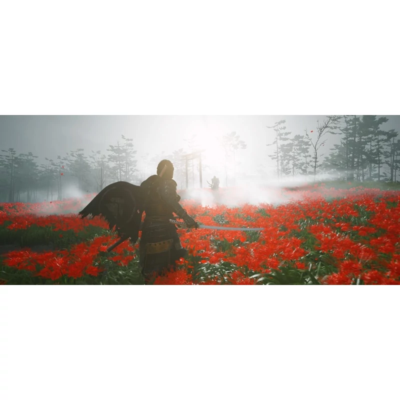Ghost of Tsushima (PS4)