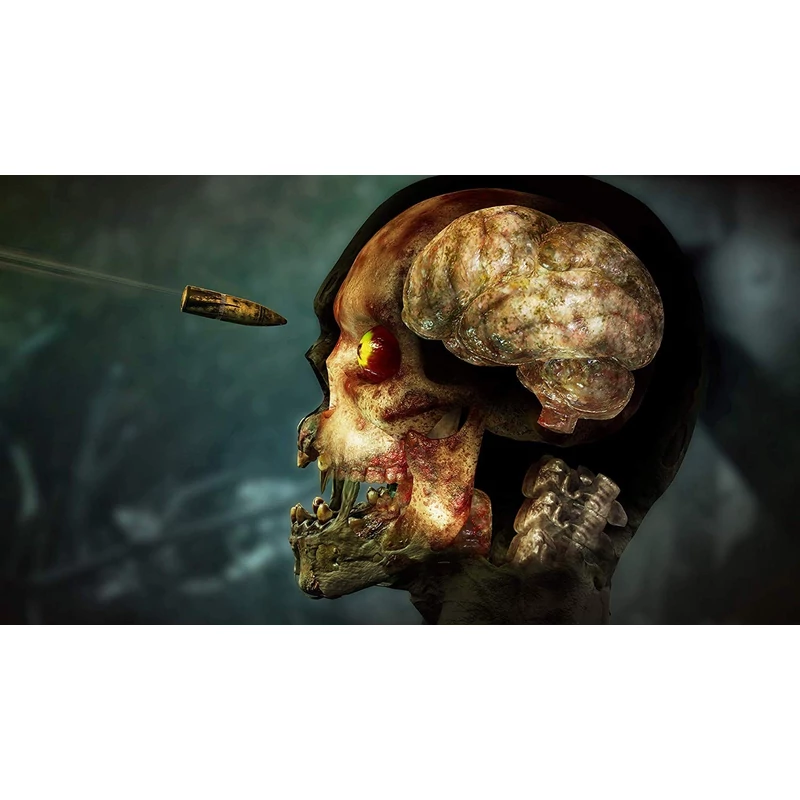 Zombie Army 4 Dead War (PS4)