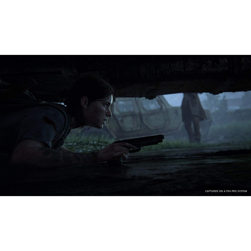 The Last of US Part II (PS4)