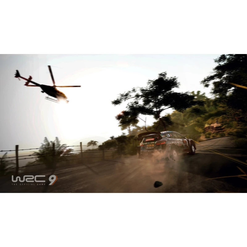 WRC 9 (PS4)
