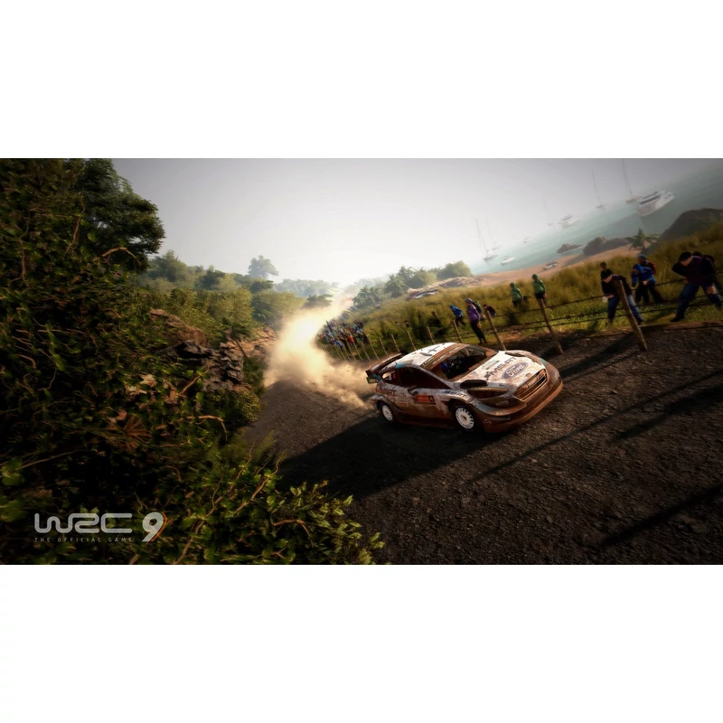 WRC 9 (PS4)