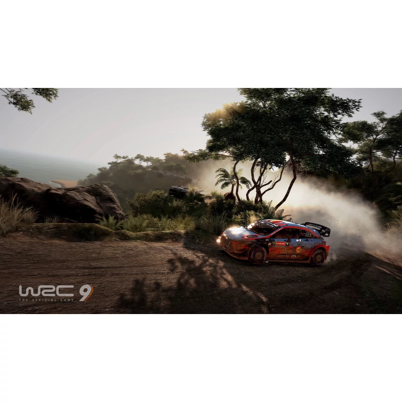 WRC 9 (PS4)
