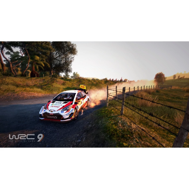 WRC 9 (PS4)