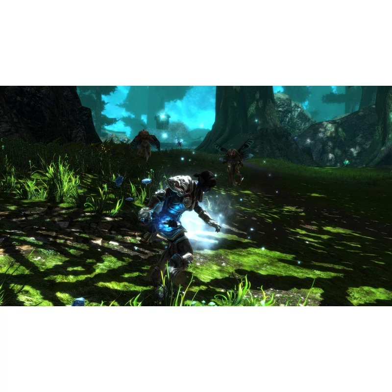 Kingdom of Amalur Re-Reckoning (PS4)