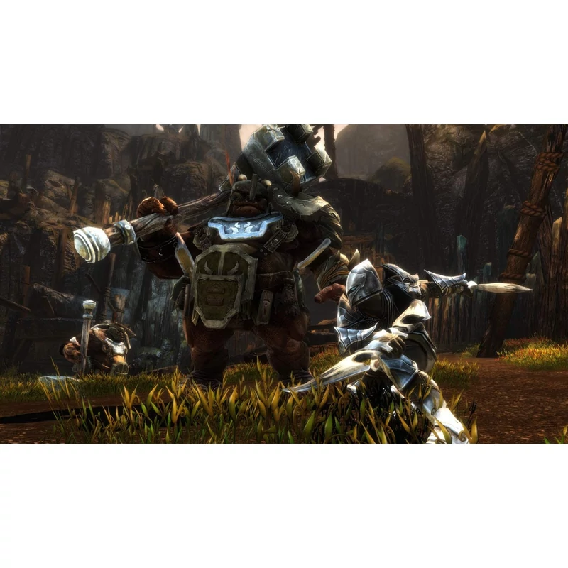 Kingdom of Amalur Re-Reckoning (PS4)