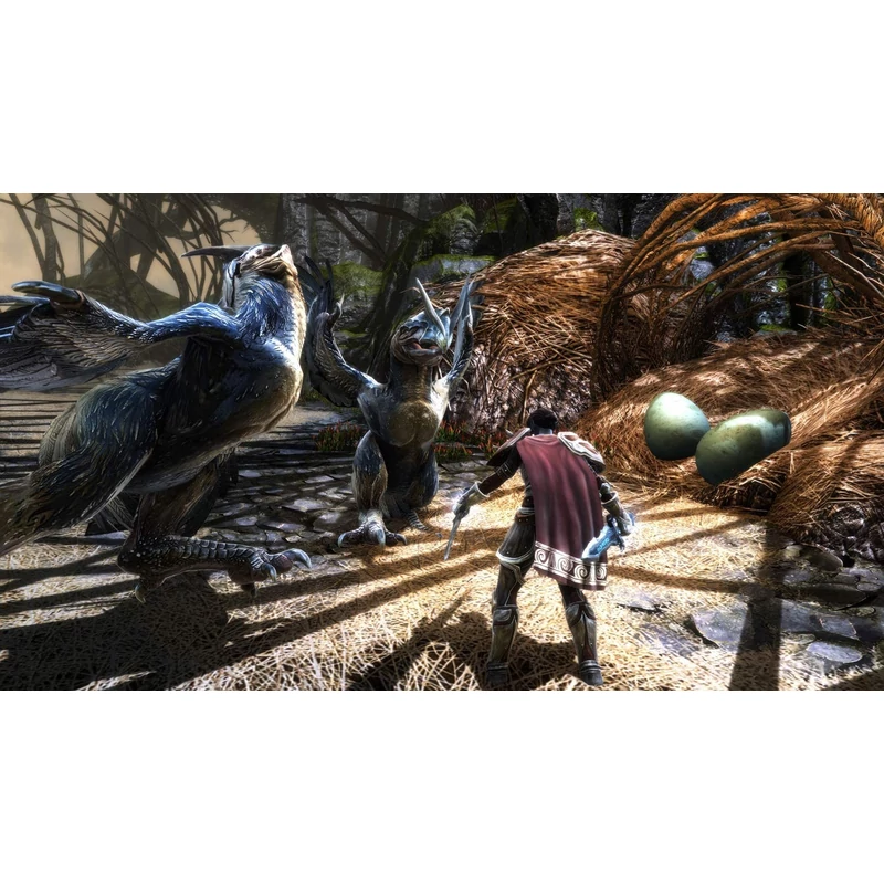 Kingdom of Amalur Re-Reckoning (PS4)